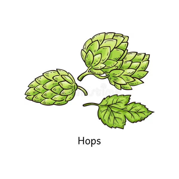 Hoppeplant